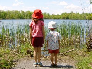 Le complexe fraternel